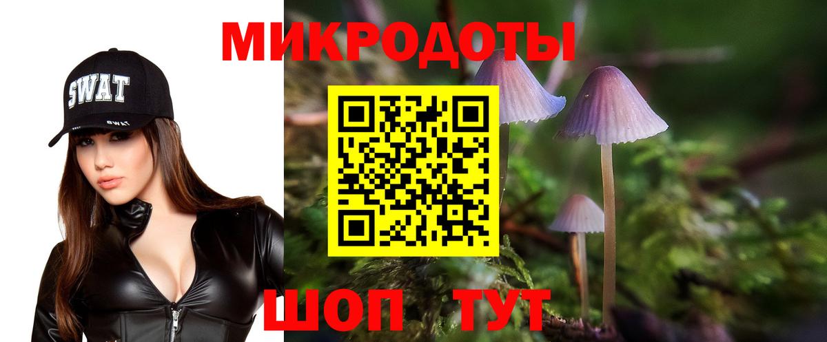 Галлюциногенные грибы мицелий  Вход с VPN  Кириши 