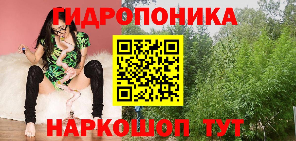 Шишки марихуана White Widow Кириши